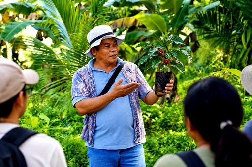 Learning before planting: Mang Jorge of the Bantay Gubat ng Ipo Community explains how to plant Coffea liberica during the activity at Ipo Dam.