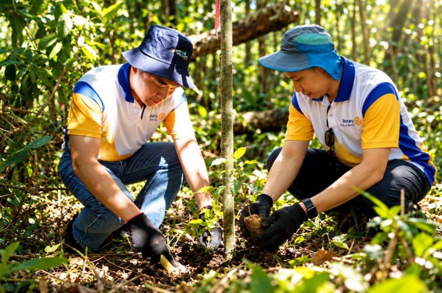 President Reggie Yu and STAR Rotarian Myles Tan, in Rotary Club of Manila shirts and work gloves, kneel to plant a seedling beside a young tree at Ipo Watershed.