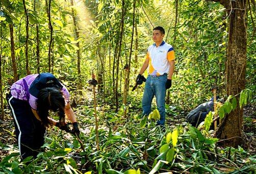A moment to appreciate the forest around us as fellow volunteers tend to the planting area at Ipo Dam during our October 3, 2026 participation in the “29,000 Trees for 29 Years” initiative.